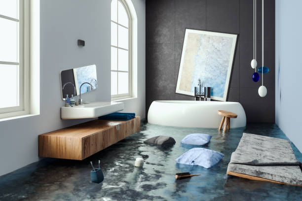 Best 24-hour water damage restoration  in Hoopeston, IL