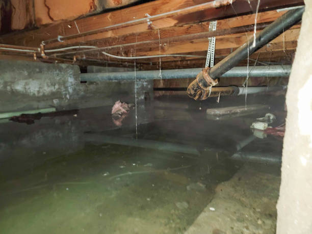 Best Water damage restoration near me  in Hoopeston, IL
