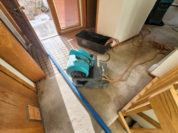 Best Water damage contractors near me  in Hoopeston, IL