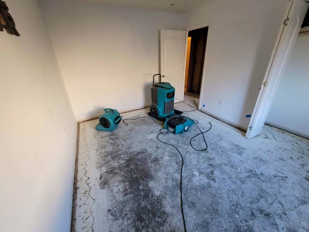 Best Local water damage restoration  in Hoopeston, IL