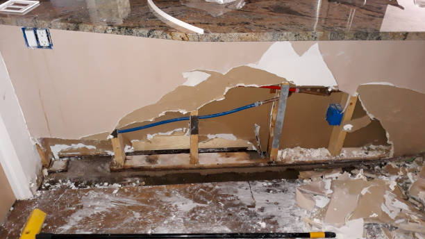 Best Water damage restoration mold remediation  in Hoopeston, IL