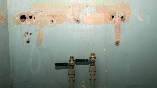 Best Water damage contractors near me  in Hoopeston, IL