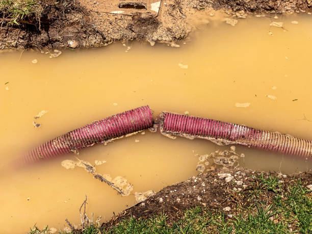 Best Professional water damage repair  in Hoopeston, IL