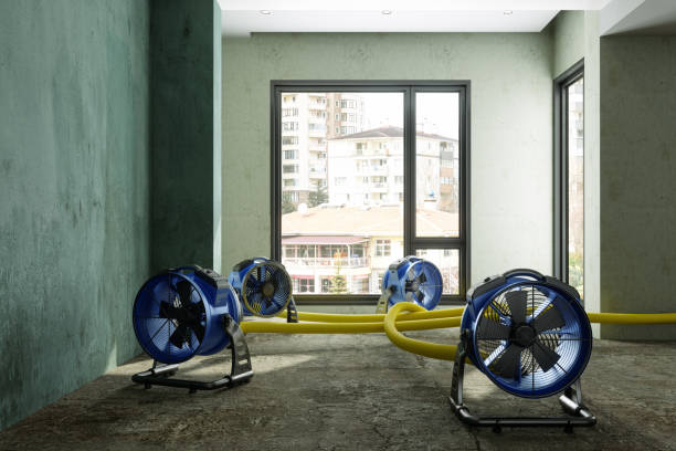 Best Ceiling water damage repair  in Hoopeston, IL