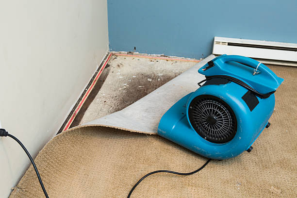 Best Basement water damage restoration  in Hoopeston, IL